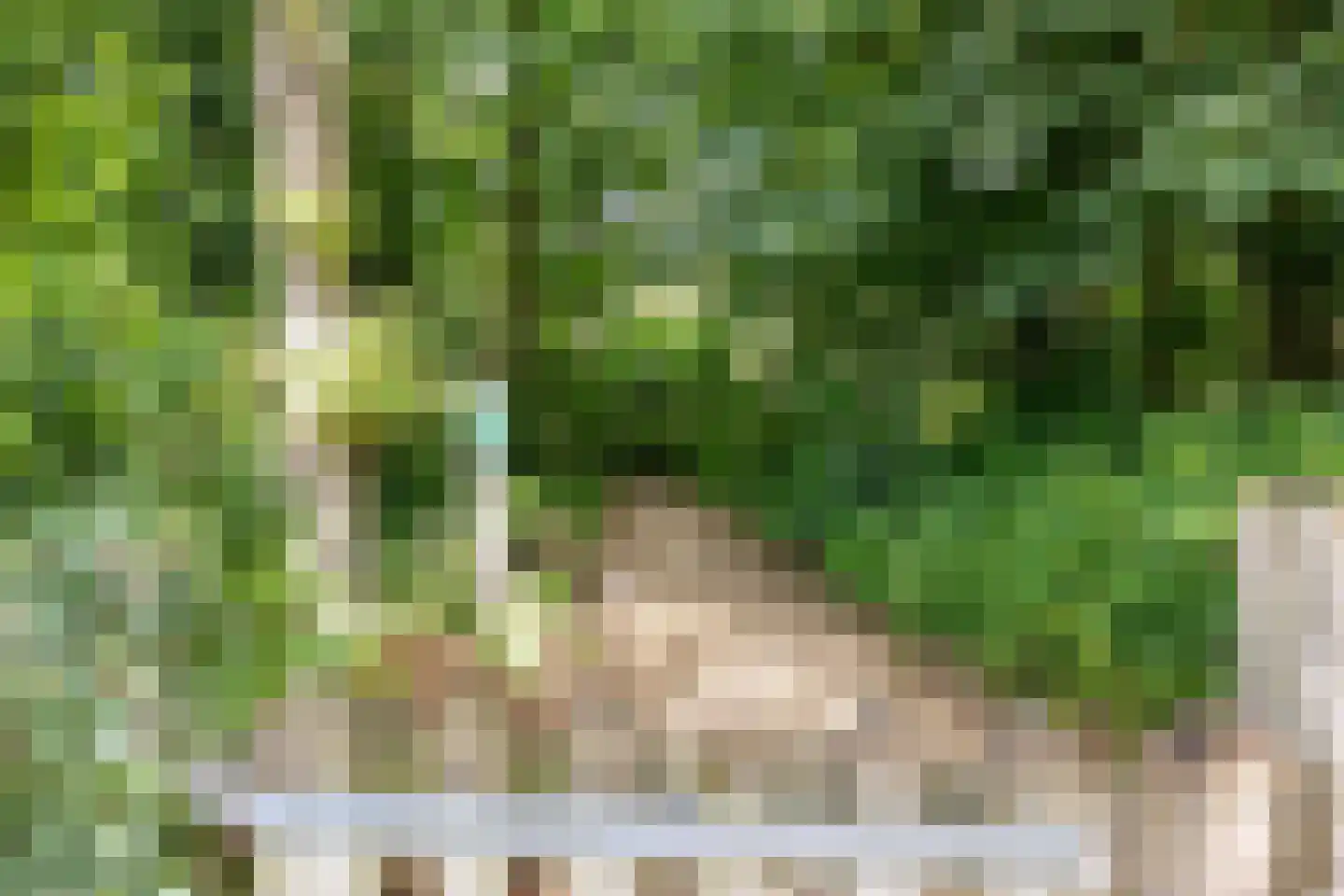 Wiltinksbrug 32 Doetinchem thumbnail 67
