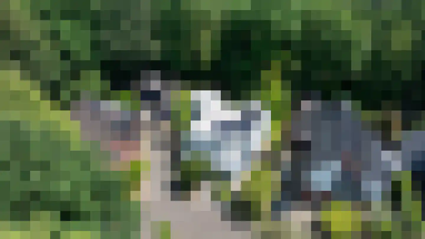 Wiltinksbrug 32 Doetinchem thumbnail 69
