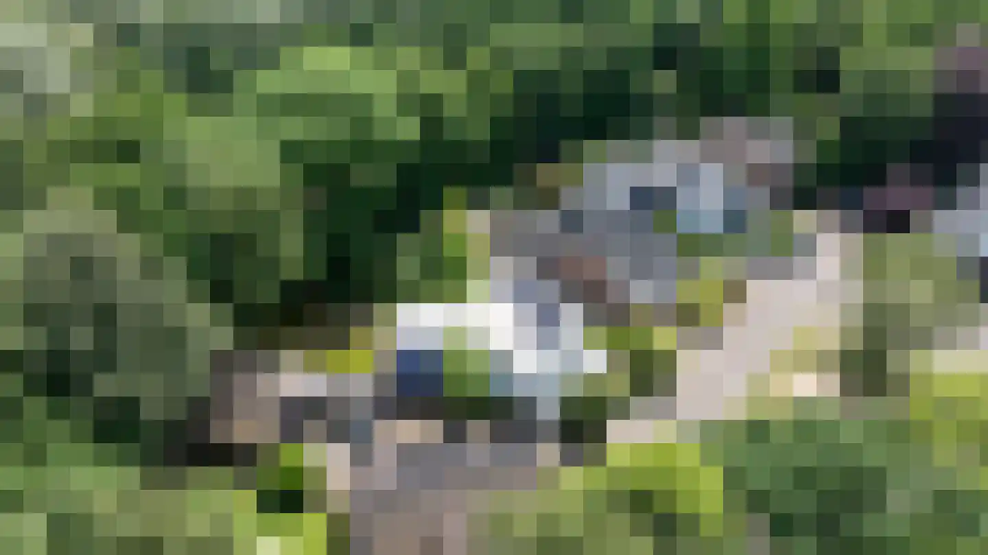 Wiltinksbrug 32 Doetinchem thumbnail 70