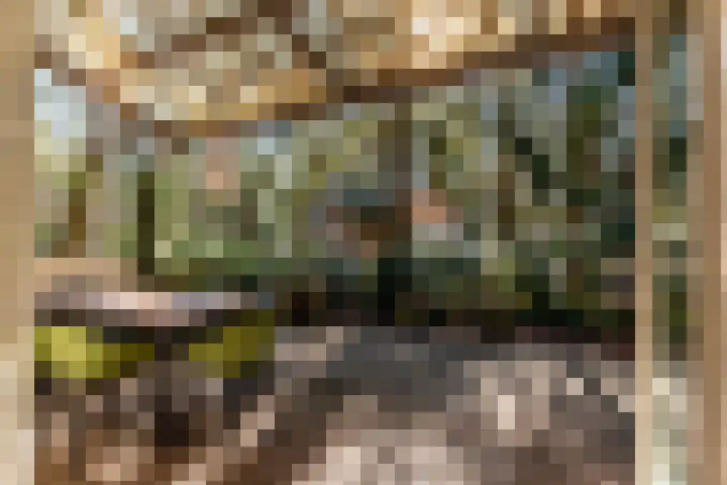 Wiltsangh 41 0037 Nunspeet thumbnail 30
