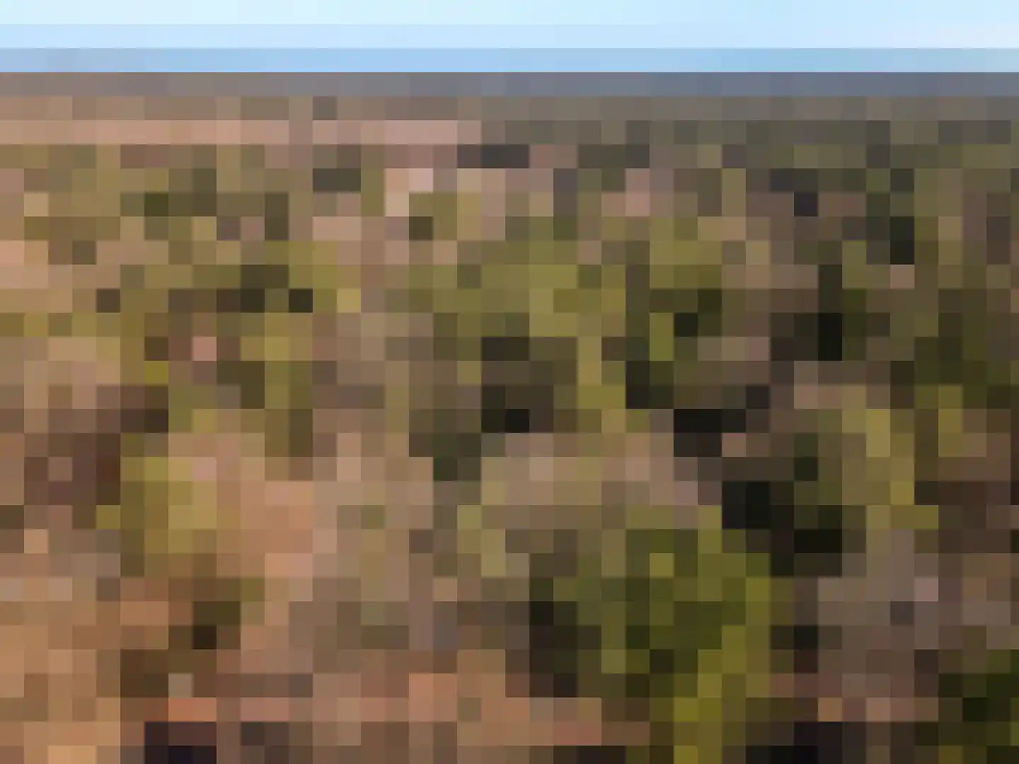 Wiltsangh 41 0037 Nunspeet thumbnail 31