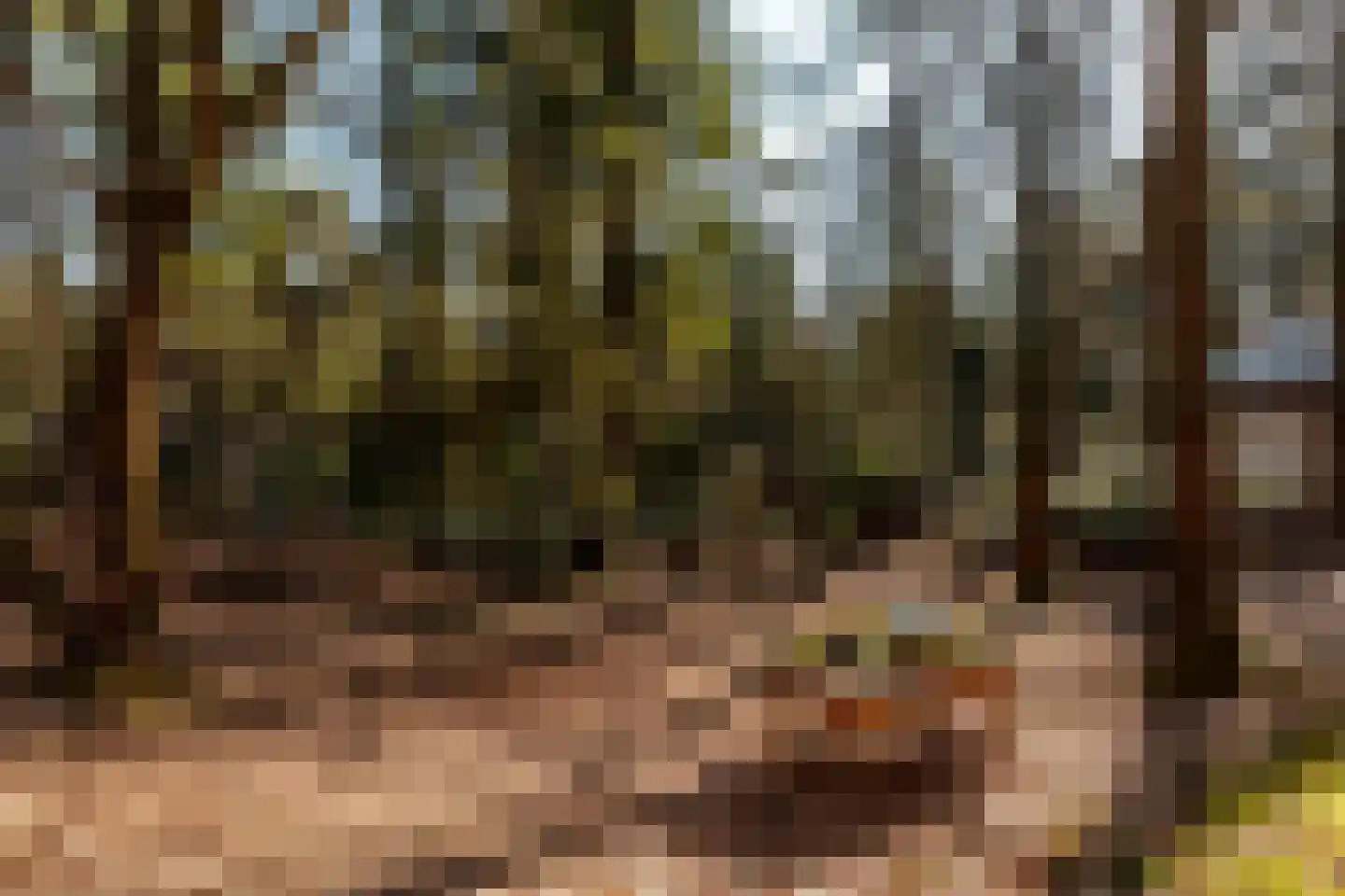 Wiltsangh 41 0037 Nunspeet thumbnail 4