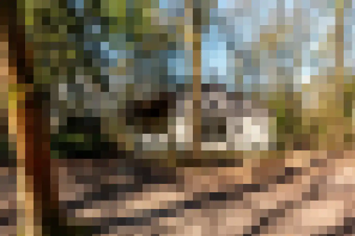 Wiltsangh 41 0037 Nunspeet thumbnail 7