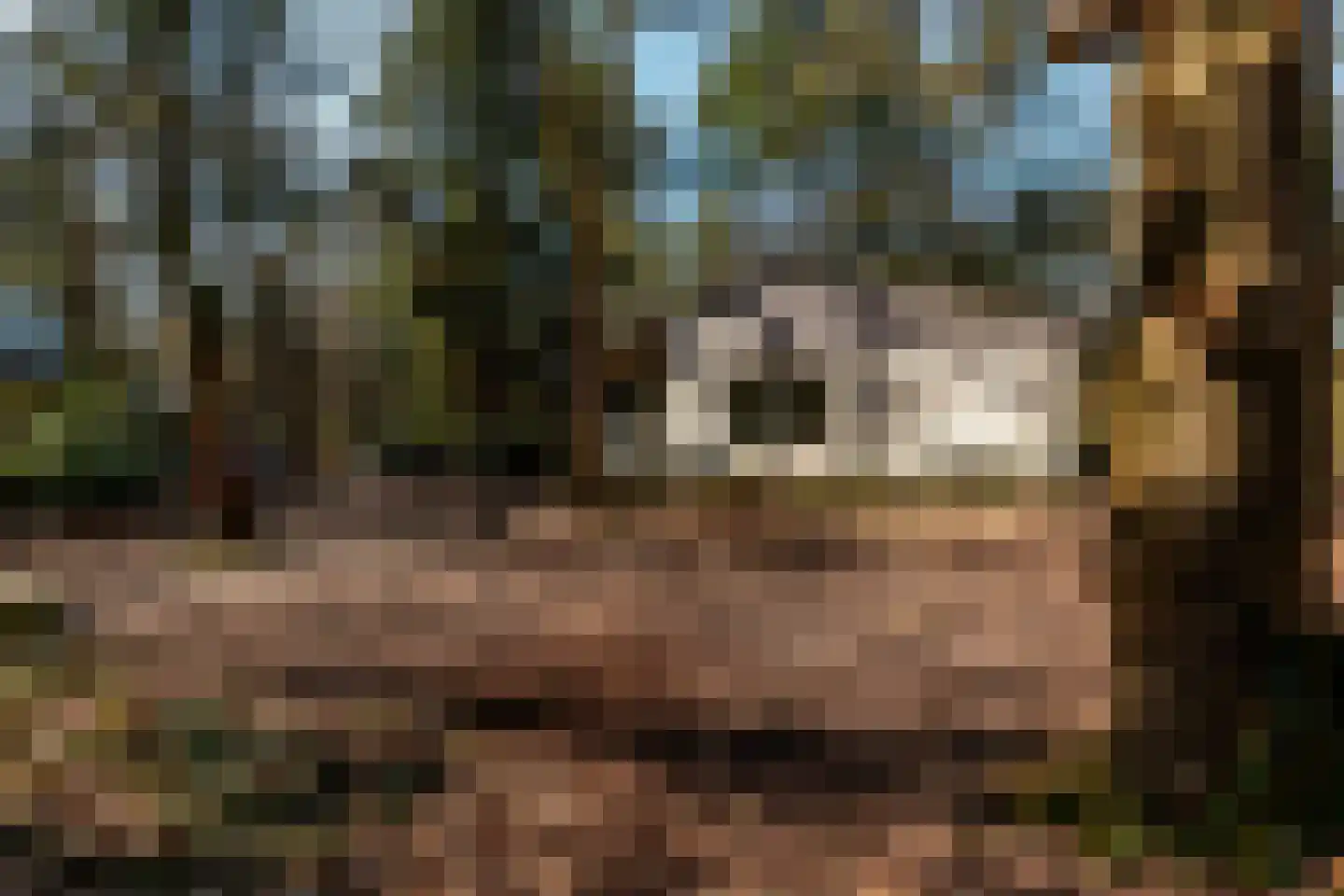 Wiltsangh 41 0037 Nunspeet thumbnail 8