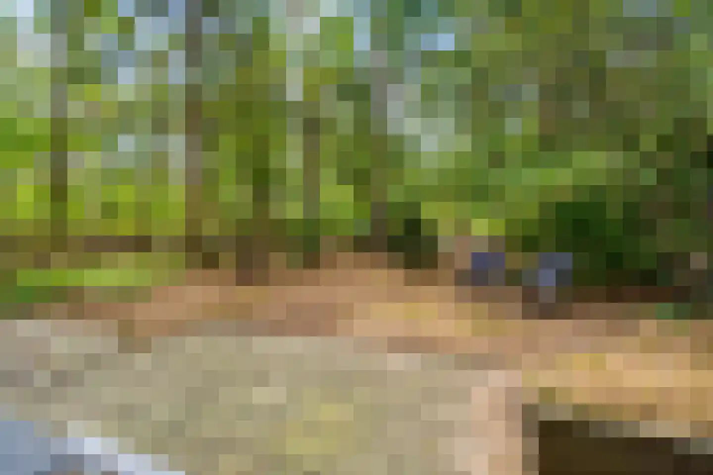 Wiltsangh 41 0075 Nunspeet thumbnail 37