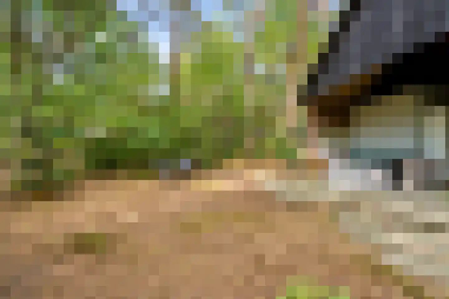 Wiltsangh 41 0075 Nunspeet thumbnail 38