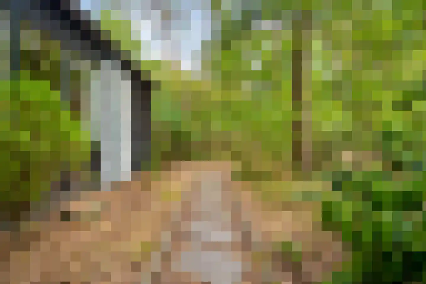 Wiltsangh 41 0075 Nunspeet thumbnail 39