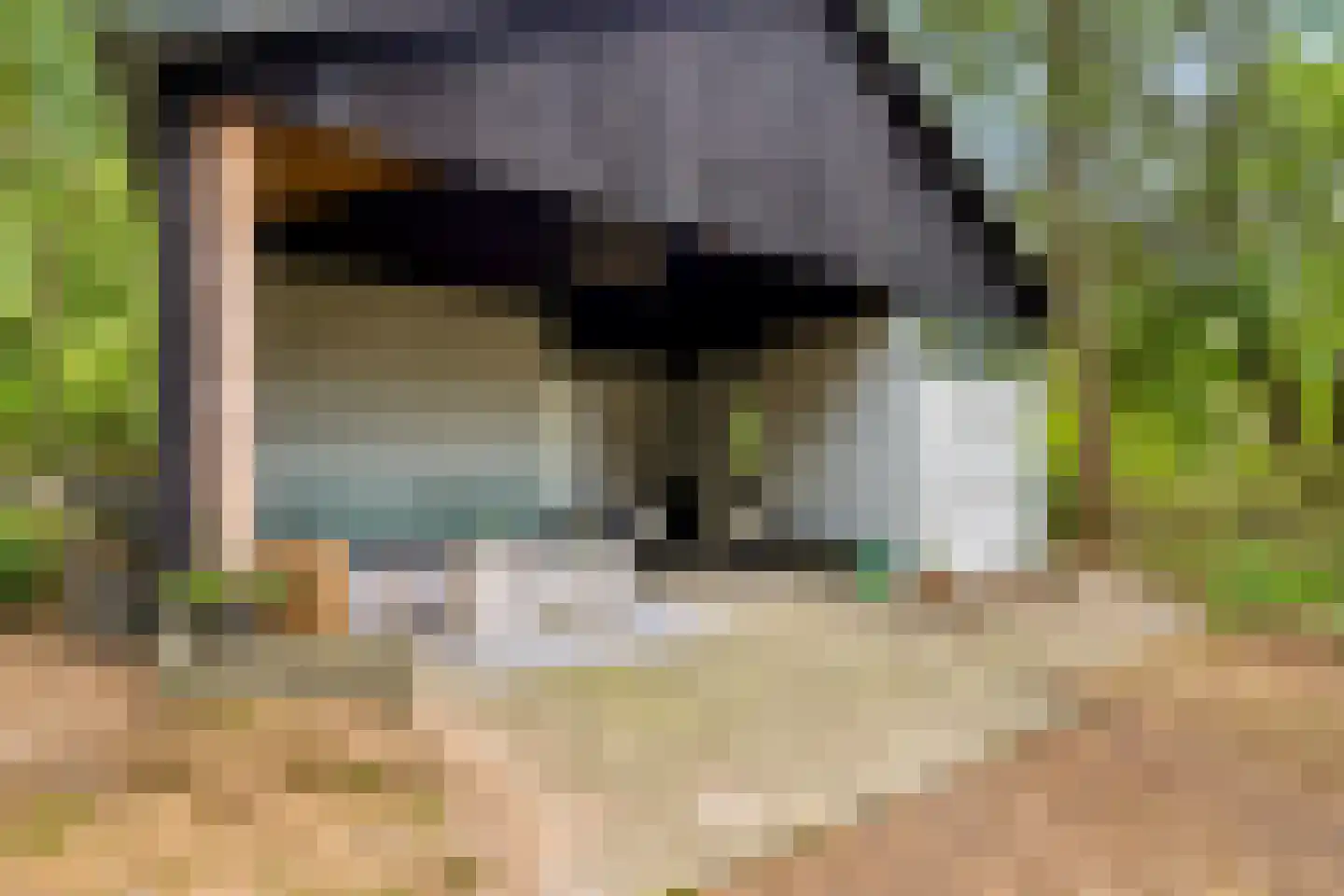 Wiltsangh 41 0075 Nunspeet thumbnail 4