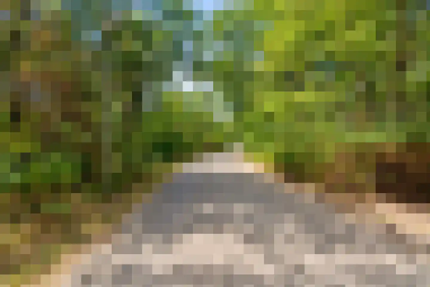 Wiltsangh 41 0075 Nunspeet thumbnail 43