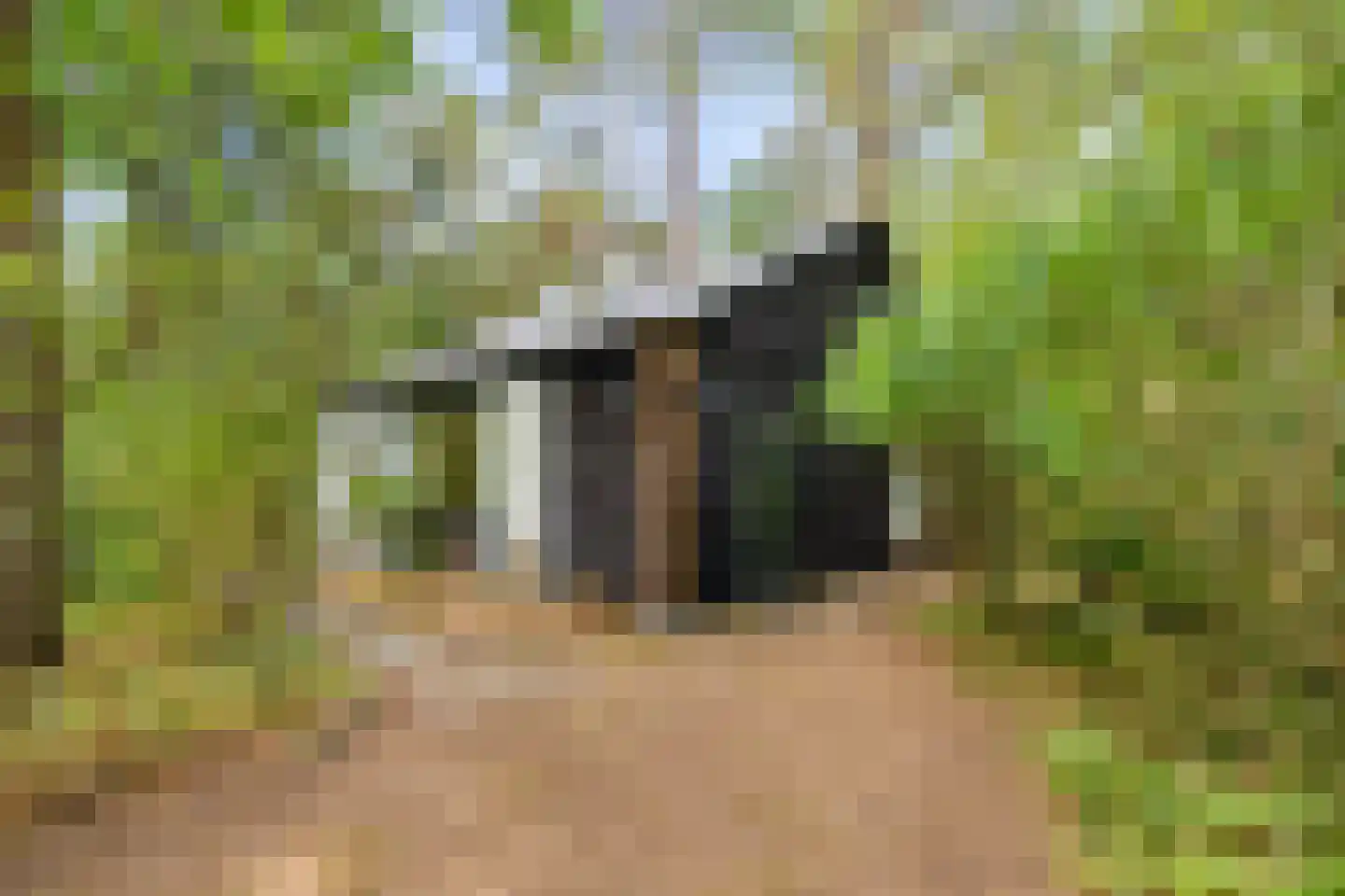 Wiltsangh 41 0075 Nunspeet thumbnail 5
