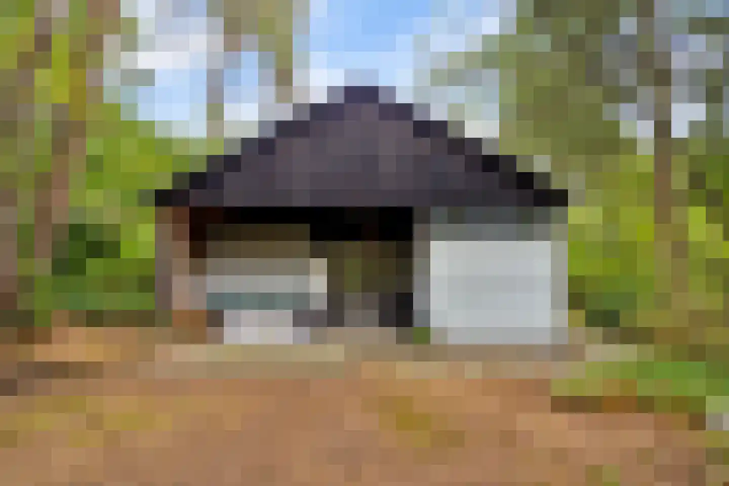 Wiltsangh 41 0075 Nunspeet thumbnail 6