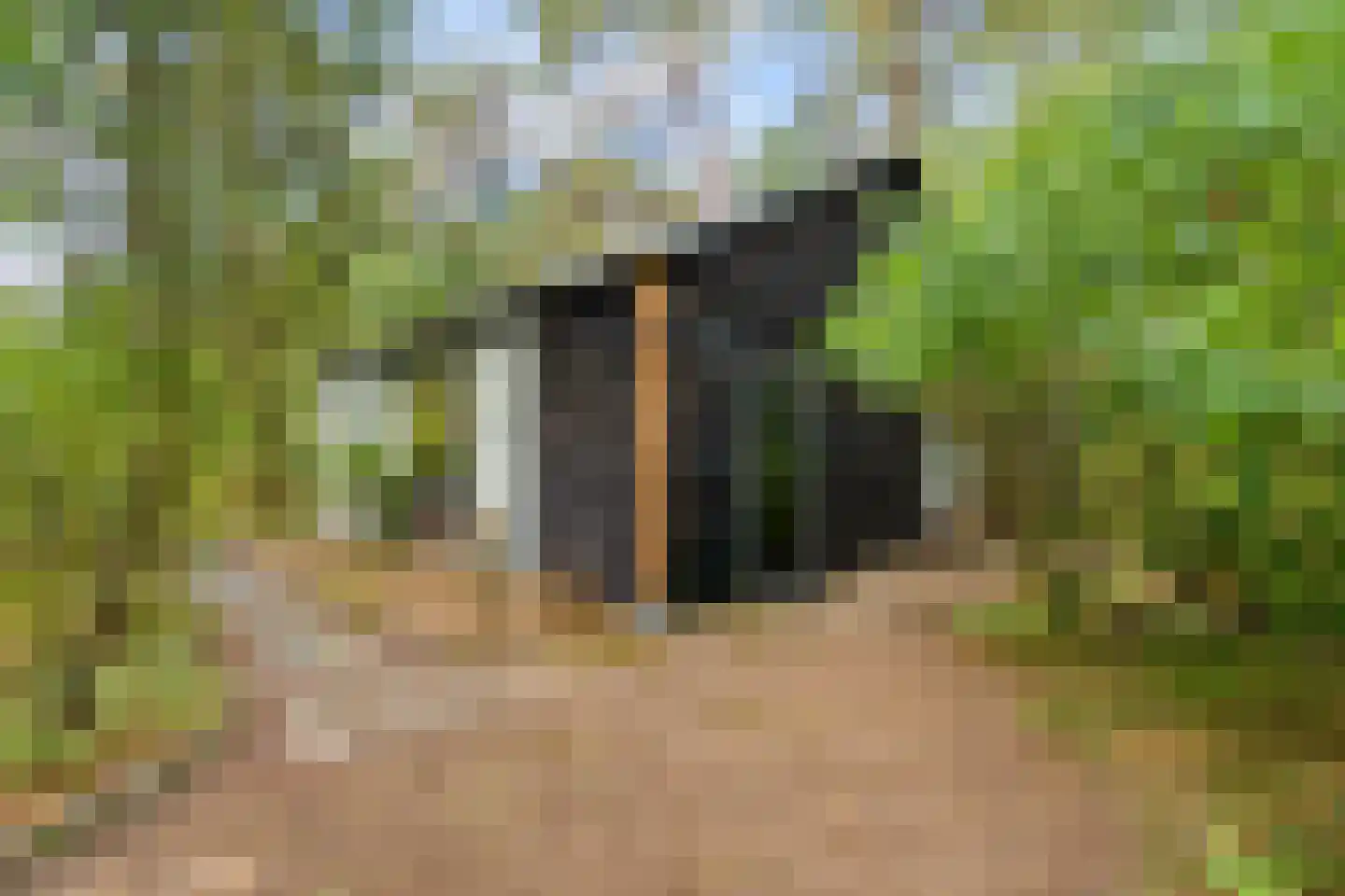 Wiltsangh 41 0075 Nunspeet thumbnail 7