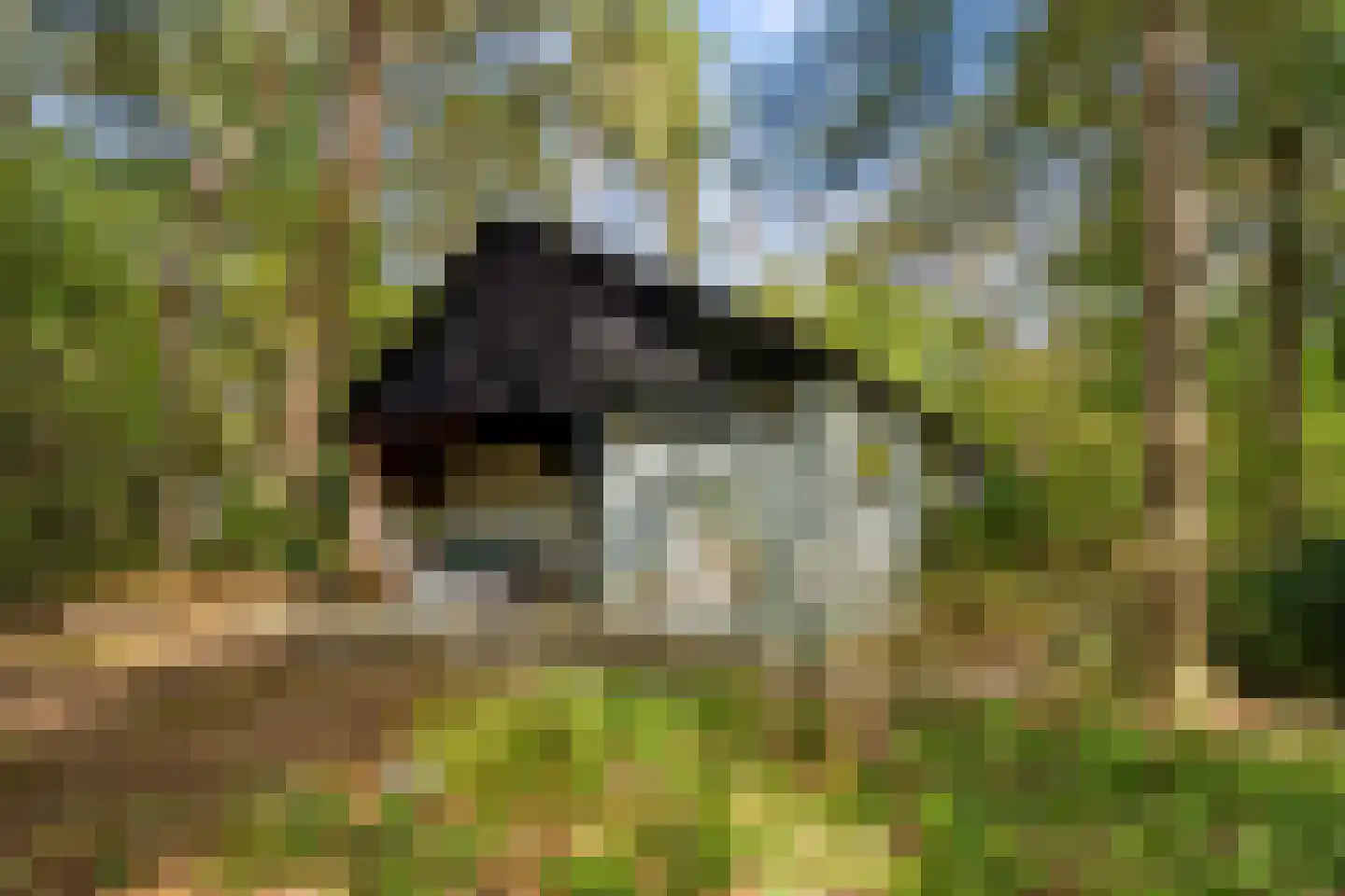 Wiltsangh 41 0075 Nunspeet thumbnail 8