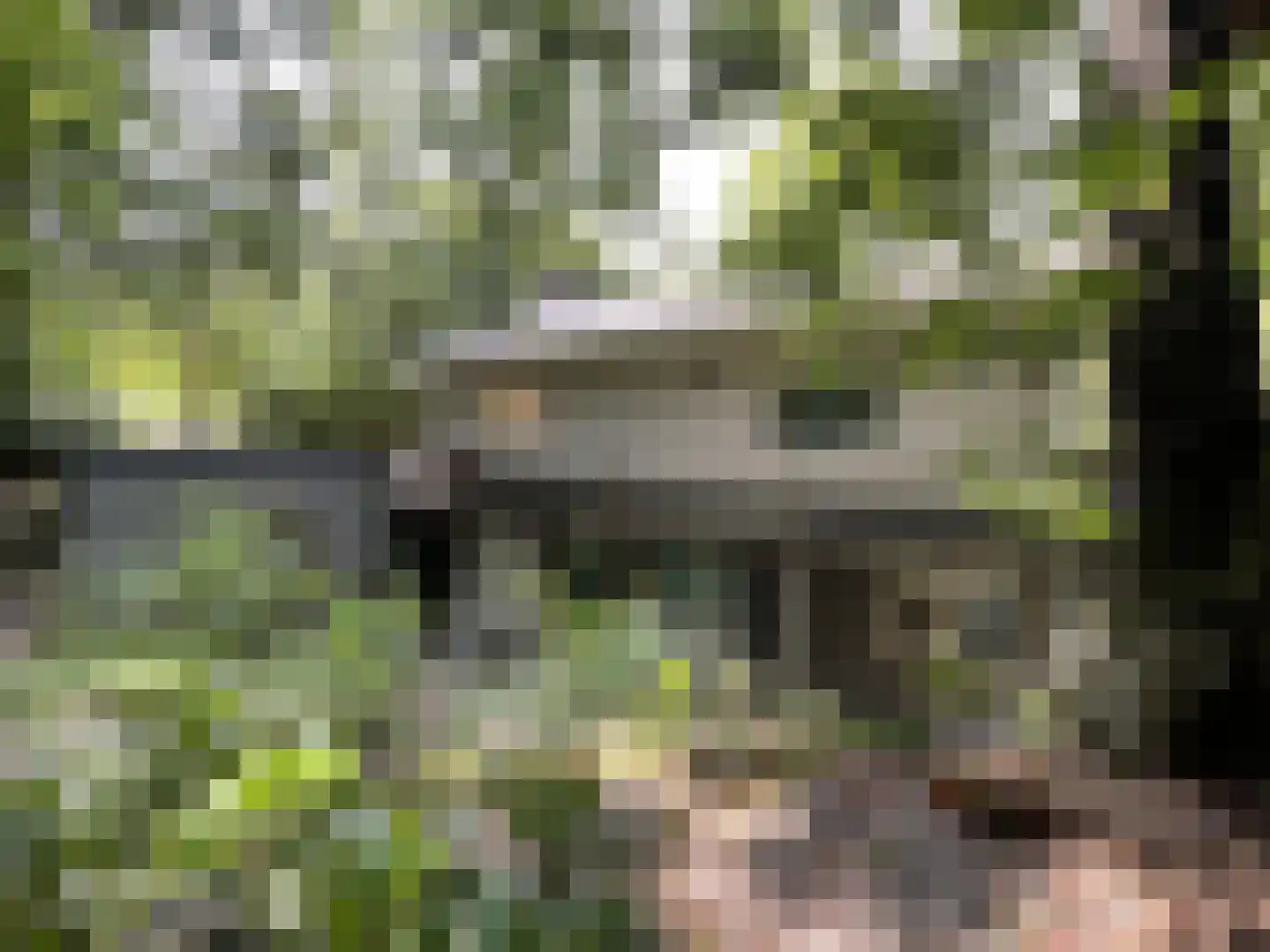 Wiltsangh 41 0129 Nunspeet