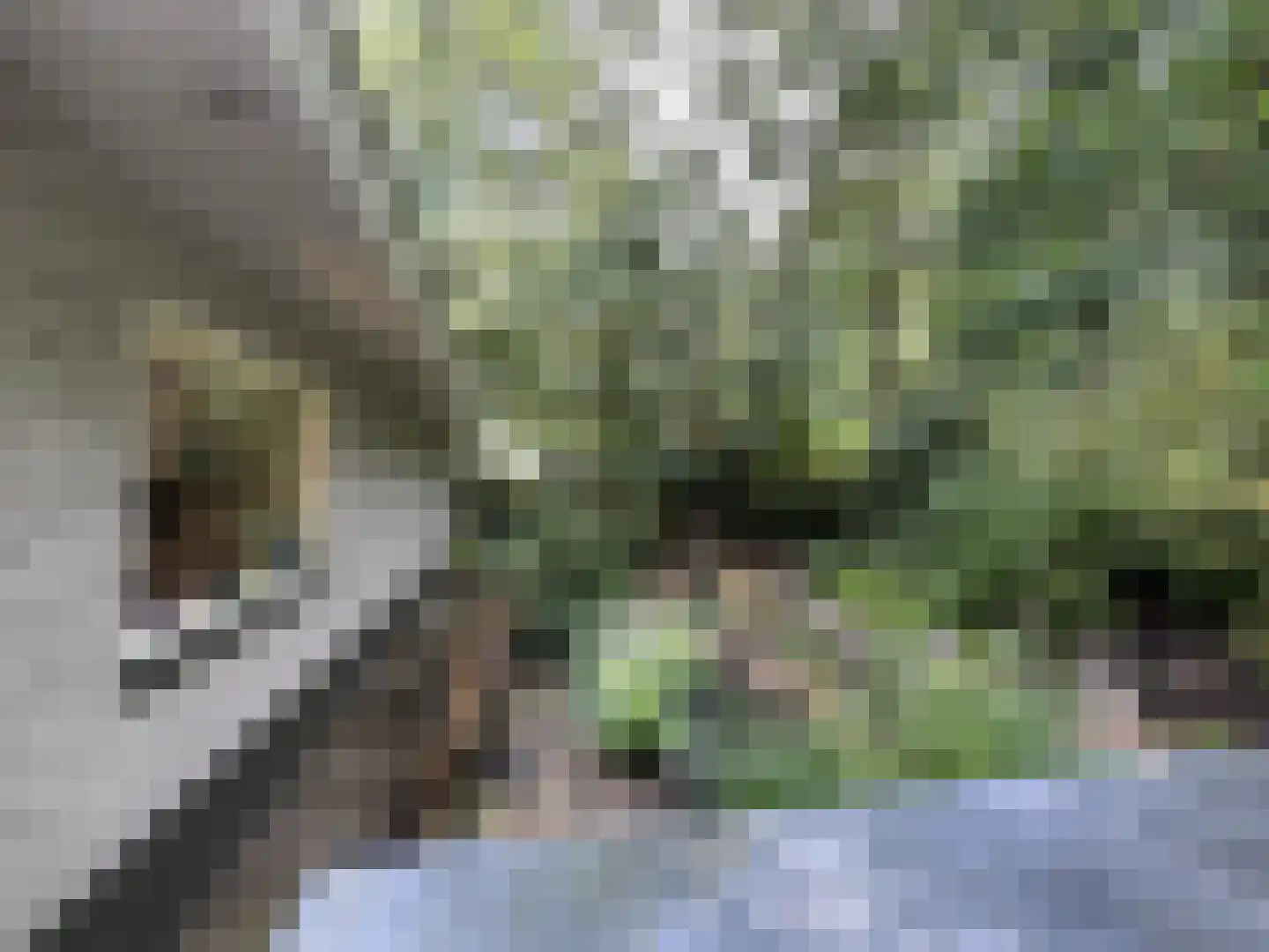 Wiltsangh 41 0129 Nunspeet thumbnail 23