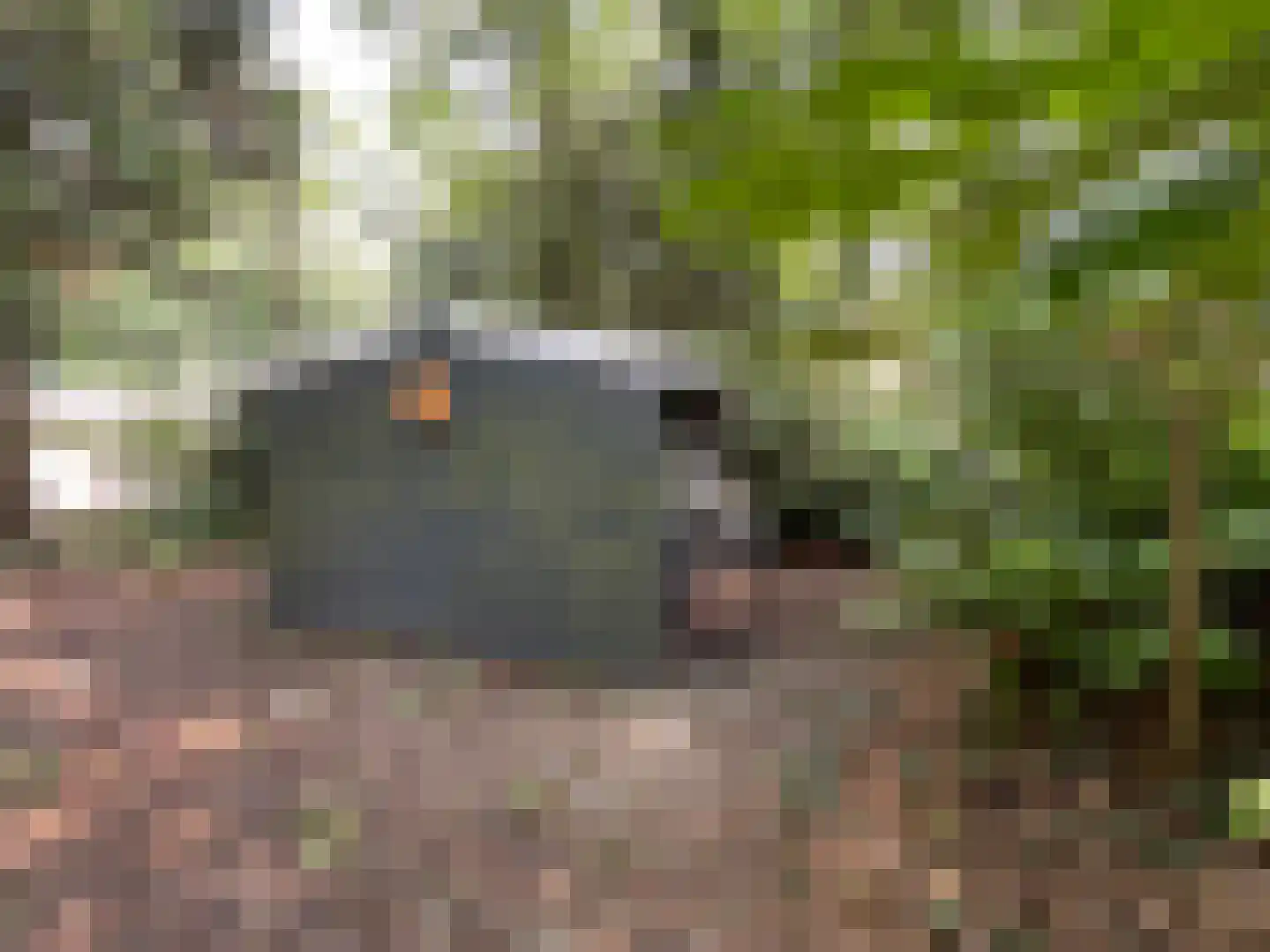 Wiltsangh 41 0129 Nunspeet thumbnail 25