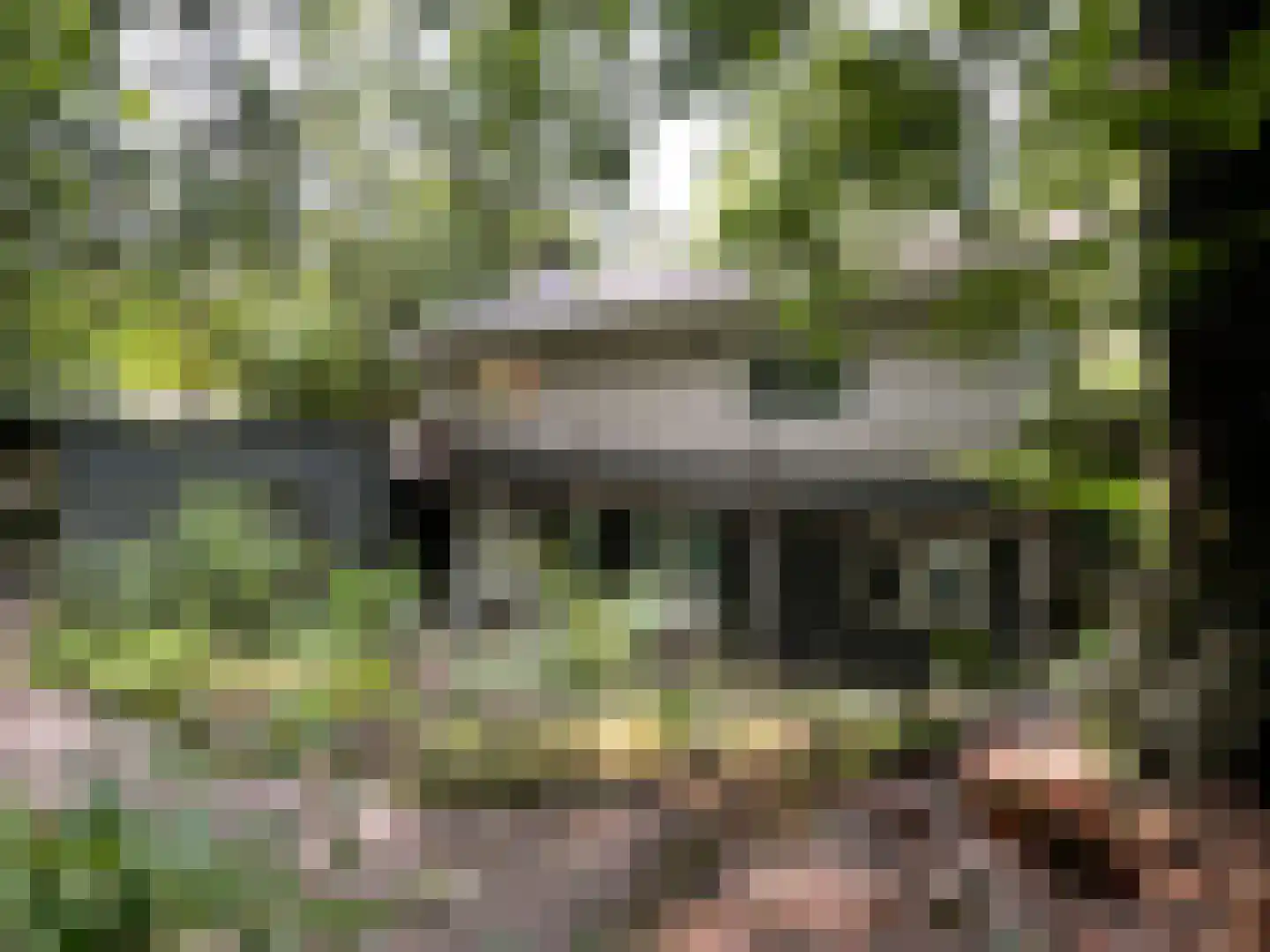 Wiltsangh 41 0129 Nunspeet thumbnail 29
