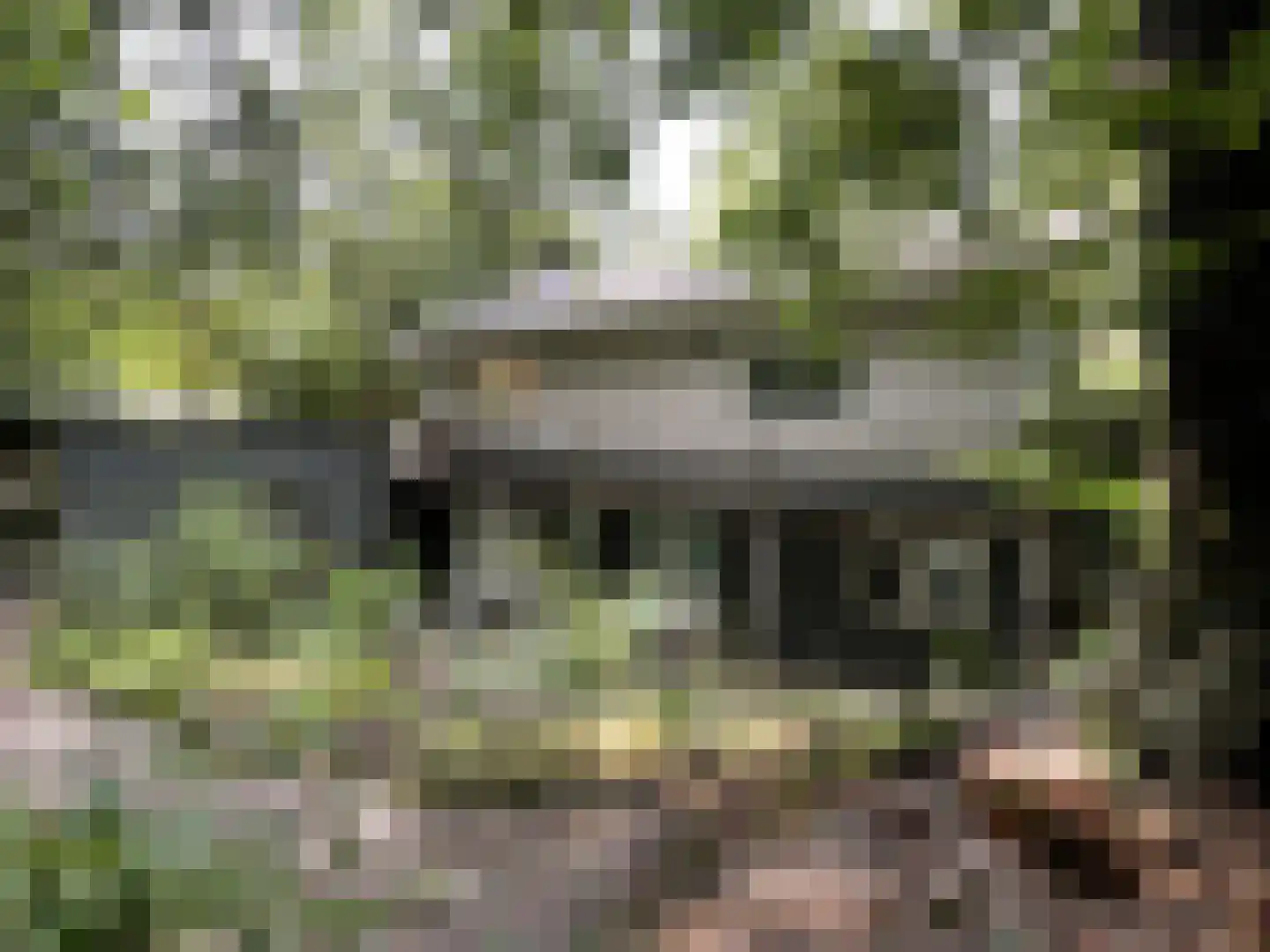 Wiltsangh 41 0129 Nunspeet thumbnail 29