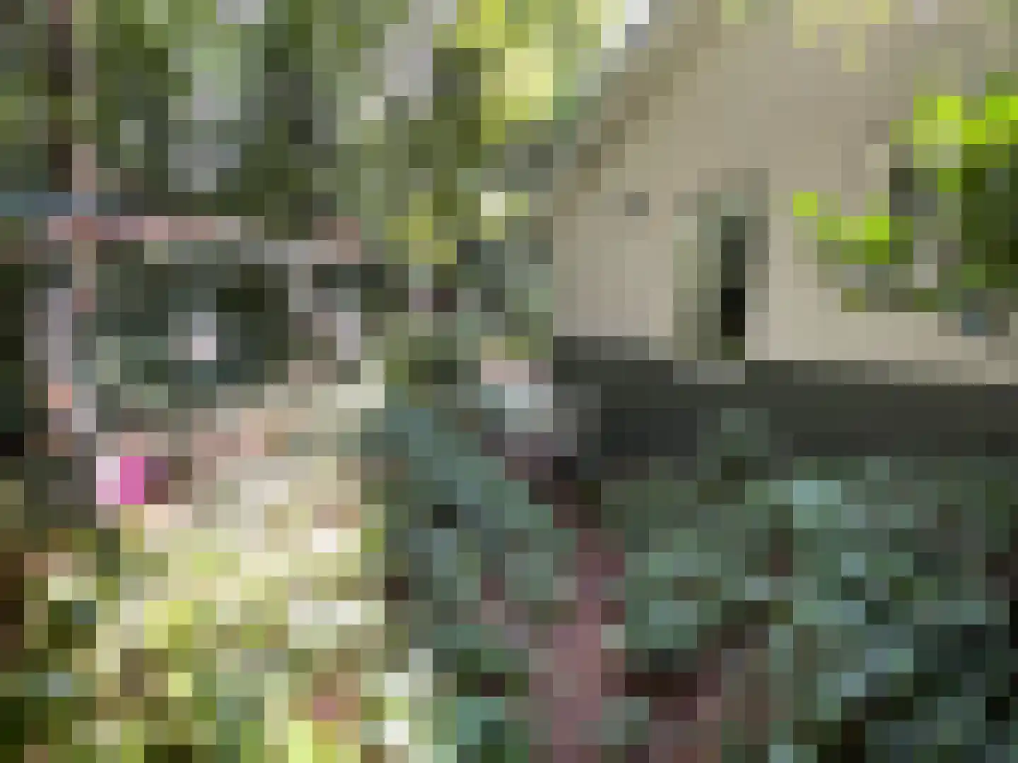 Wiltsangh 41 0129 Nunspeet thumbnail 32