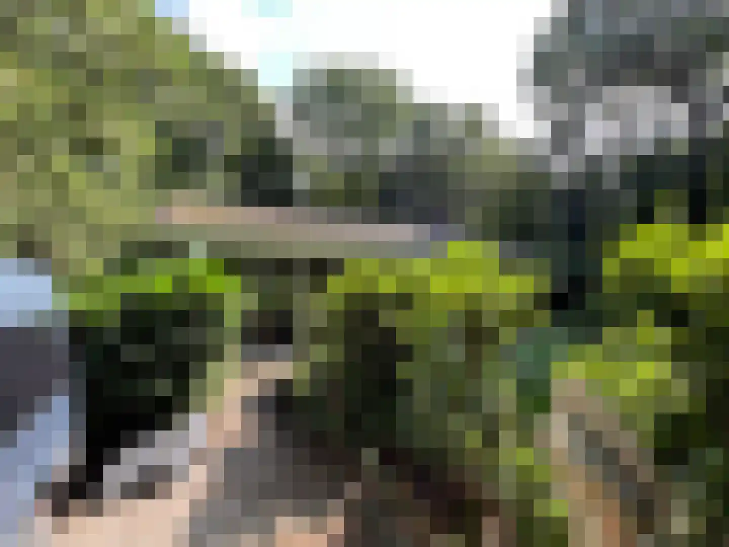 Wiltsangh 41 0129 Nunspeet thumbnail 35