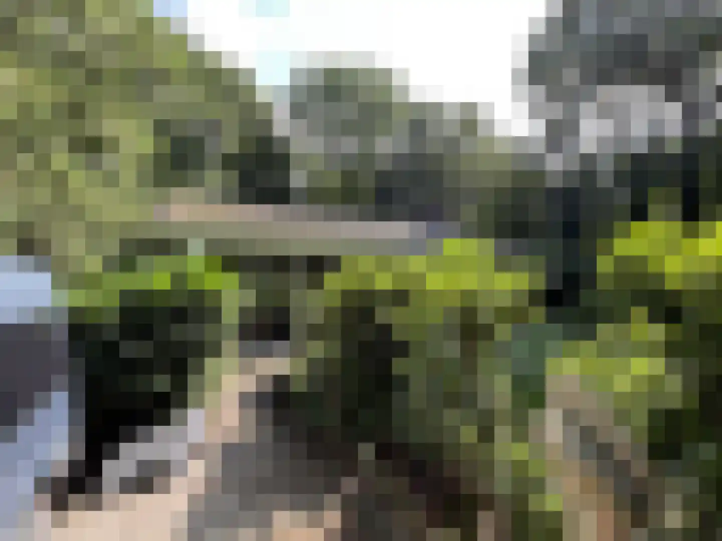 Wiltsangh 41 0129 Nunspeet thumbnail 35