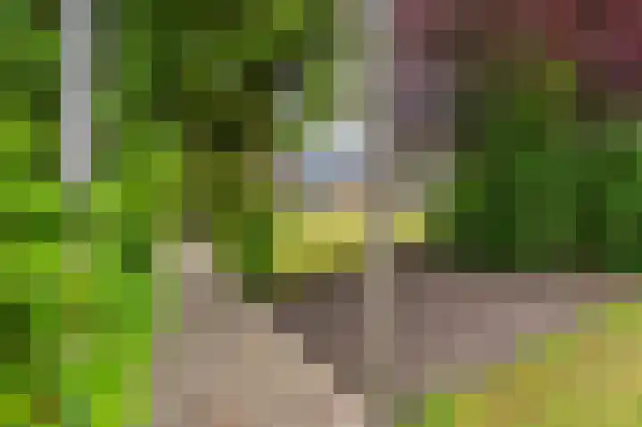 Wiltslaan 5 Blijham thumbnail 13