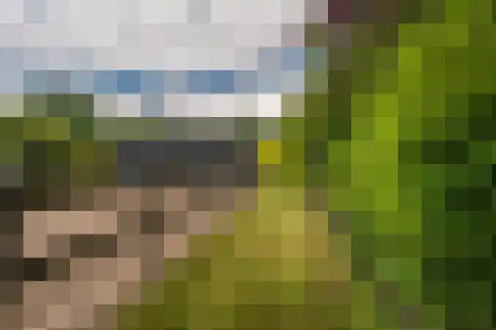 Wiltslaan 5 Blijham thumbnail 17