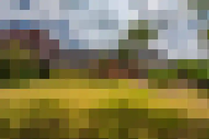 Wiltslaan 5 Blijham thumbnail 19