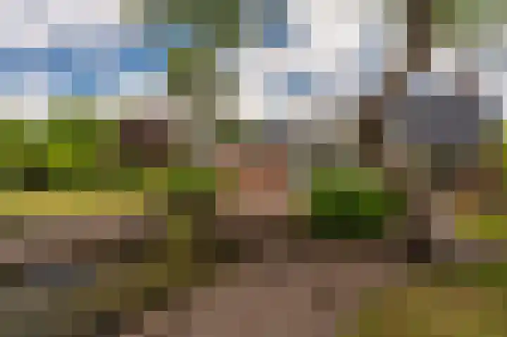 Wiltslaan 5 Blijham thumbnail 21