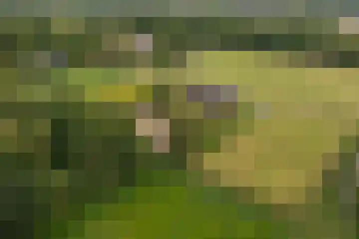 Wiltslaan 5 Blijham thumbnail 24