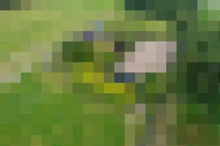 Wiltslaan 5 Blijham thumbnail 25