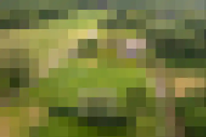 Wiltslaan 5 Blijham thumbnail 26