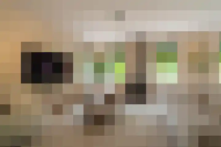 Wiltslaan 5 Blijham thumbnail 34