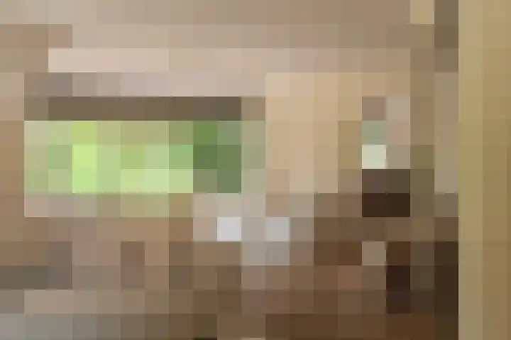 Wiltslaan 5 Blijham thumbnail 36
