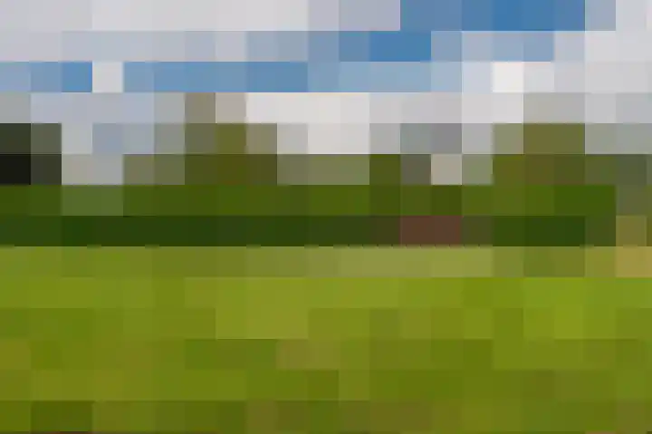 Wiltslaan 5 Blijham thumbnail 4