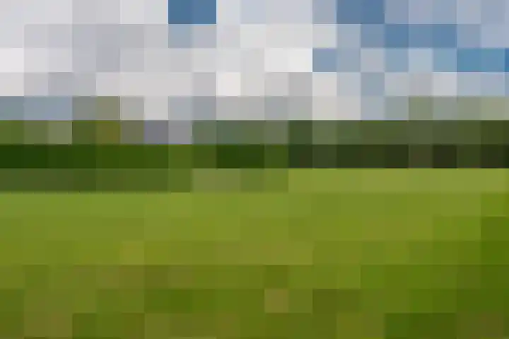 Wiltslaan 5 Blijham thumbnail 6