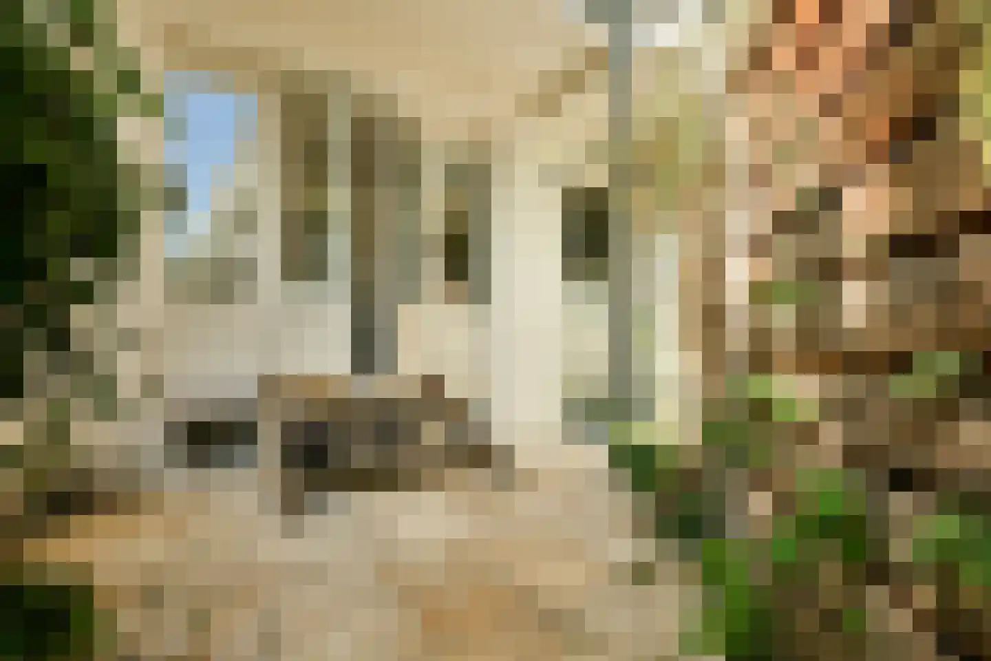 Wiltzanghlaan 1 4 Amsterdam thumbnail 8