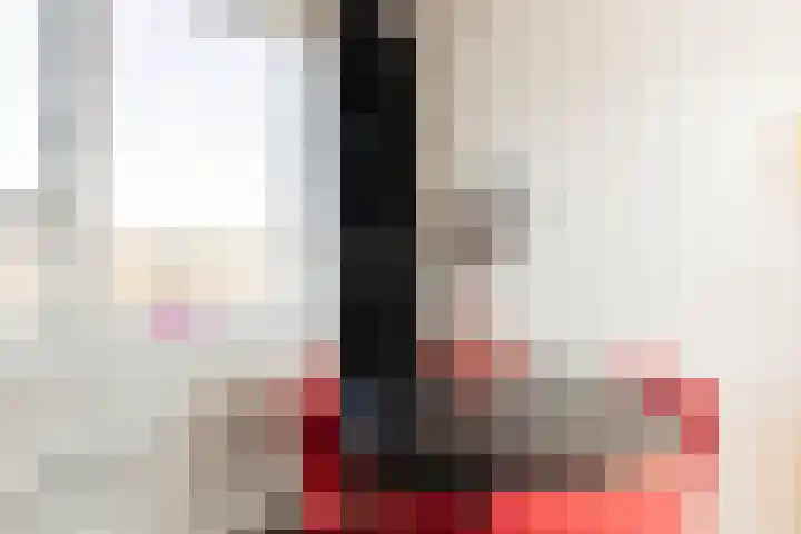 Wiltzanghlaan 31 H Amsterdam thumbnail 10