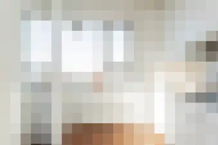 Wiltzanghlaan 31 H Amsterdam thumbnail 15