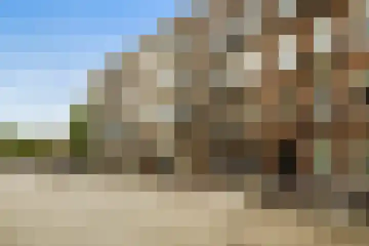 Wiltzanghlaan 4 4A Amsterdam thumbnail 29