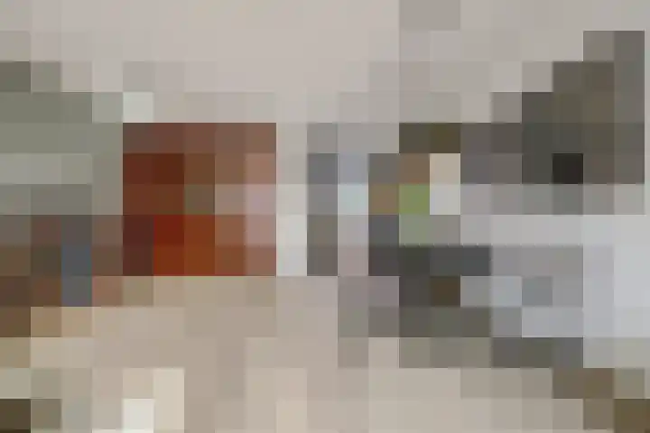 Wim Boonsstraat 7 Raamsdonk thumbnail 10