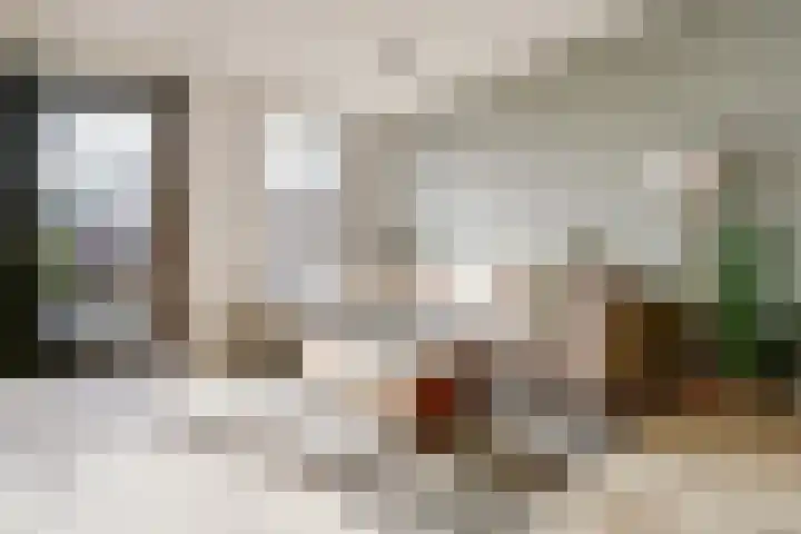 Wim Boonsstraat 7 Raamsdonk thumbnail 12