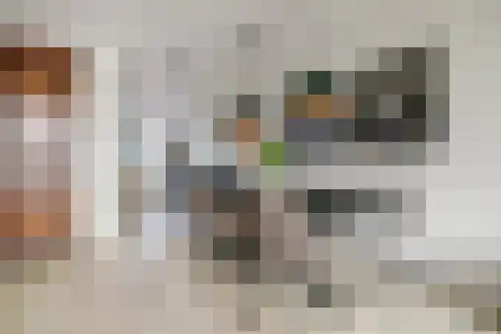 Wim Boonsstraat 7 Raamsdonk thumbnail 13