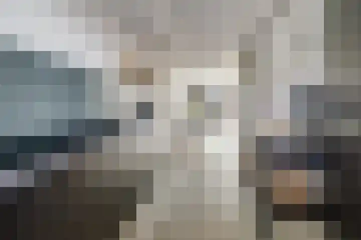 Wim Boonsstraat 7 Raamsdonk thumbnail 17