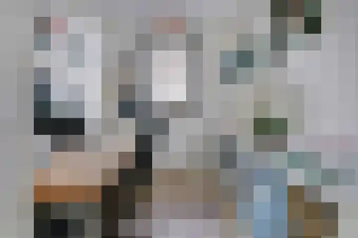 Wim Boonsstraat 7 Raamsdonk thumbnail 22