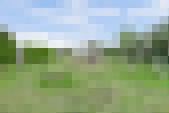 Wim Boonsstraat 7 Raamsdonk thumbnail 32
