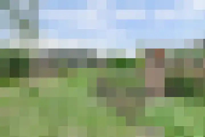 Wim Boonsstraat 7 Raamsdonk thumbnail 33