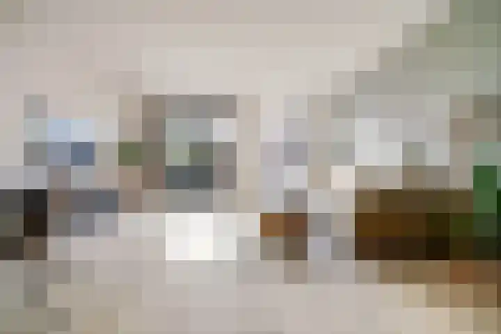 Wim Boonsstraat 7 Raamsdonk thumbnail 9