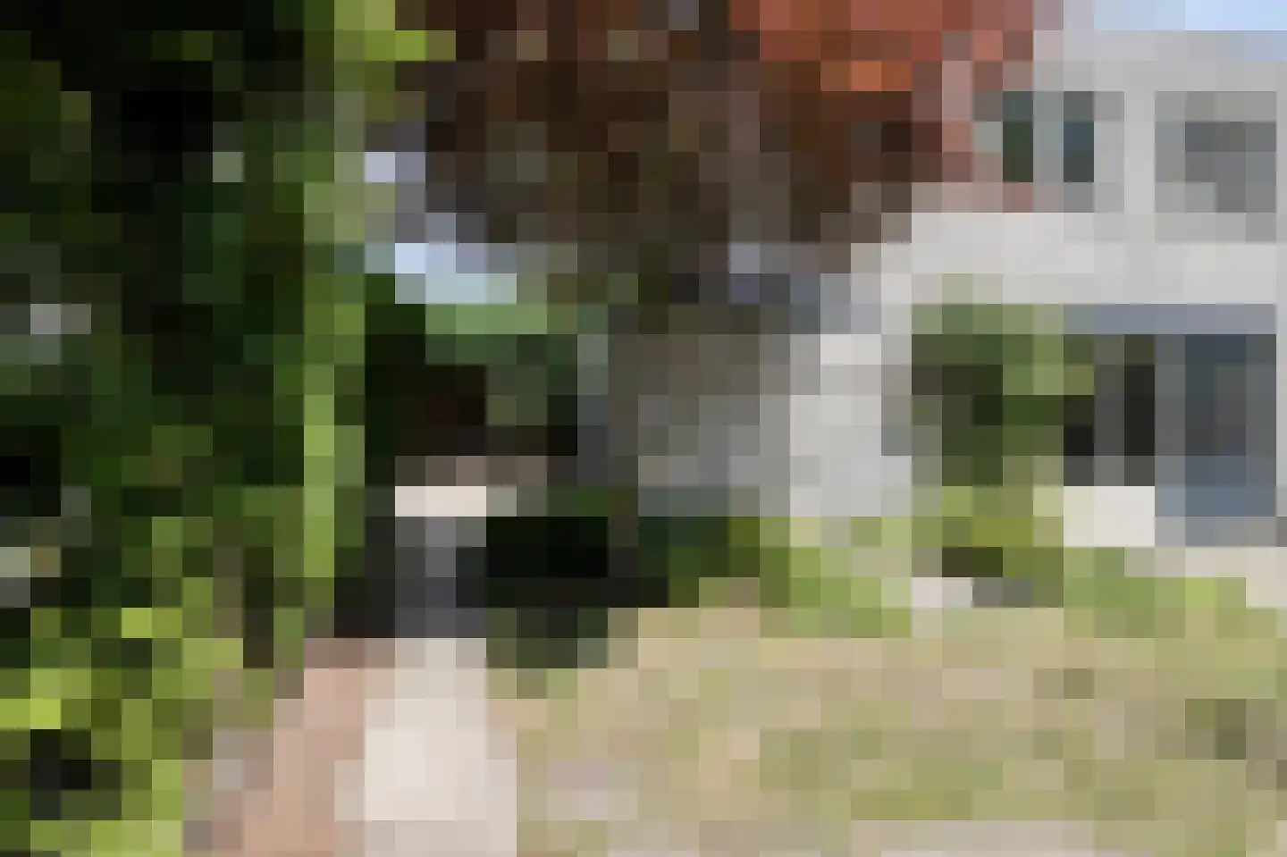 Wim Brugmanstraat 10 Oisterwijk thumbnail 31