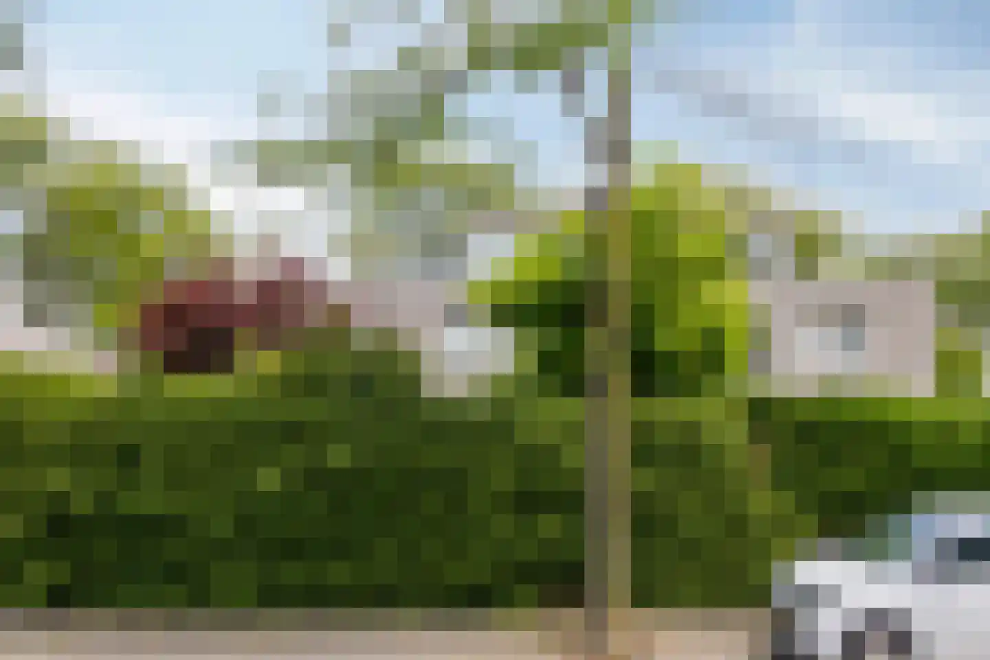 Wim Brugmanstraat 10 Oisterwijk thumbnail 33